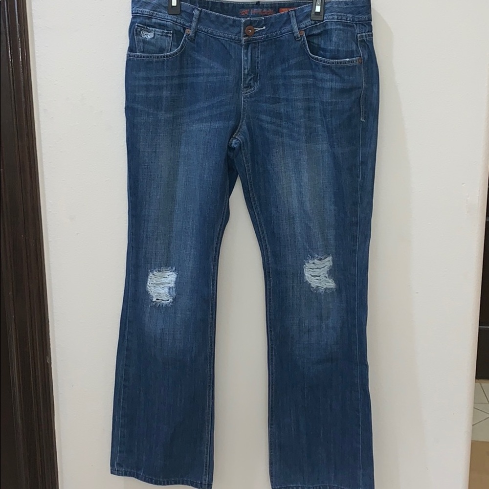 Chip and Pepper Plus Size Jeans